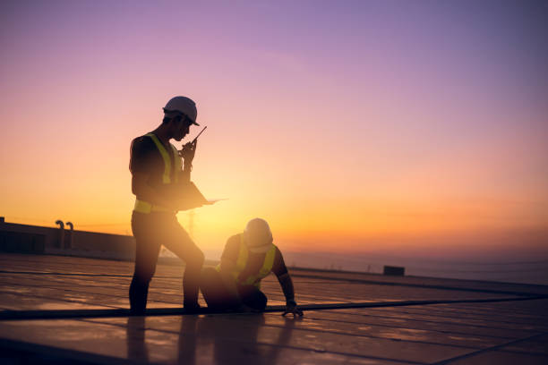 Best Chimney Flashing Repair  in Princeton, MO