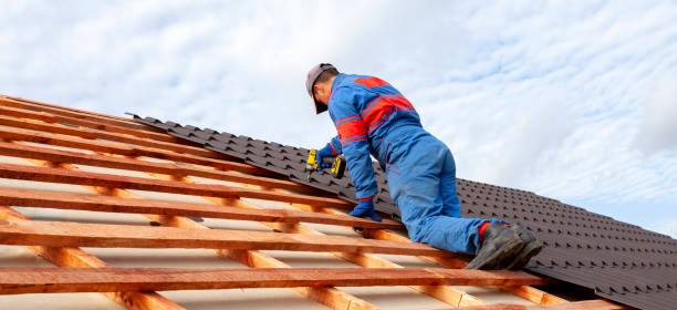 Best Rubber Roofing (EPDM, TPO)  in Princeton, MO