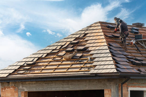 Best Sheet Metal Roofing  in Princeton, MO